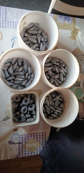 Шаранджийски олова