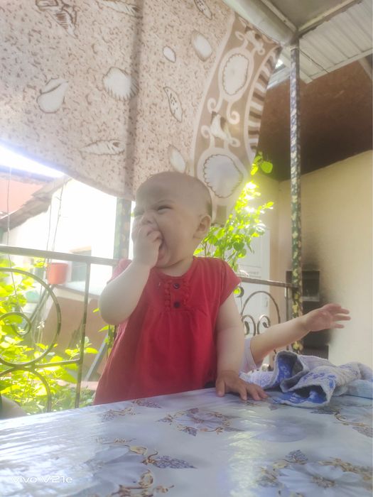 ЭЛЕКТРИК ШЫМКЕНТ круглосуточно 24/7