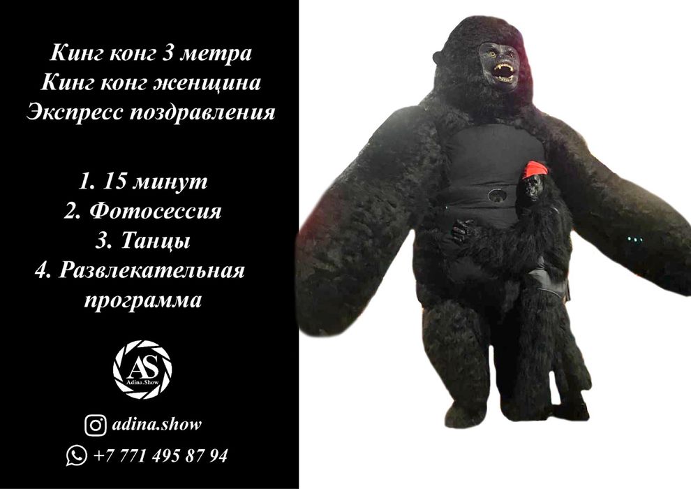 Тедди мишки на прокат Адина шоу