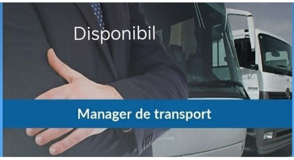Disponibil Manager de transport marfa Mures