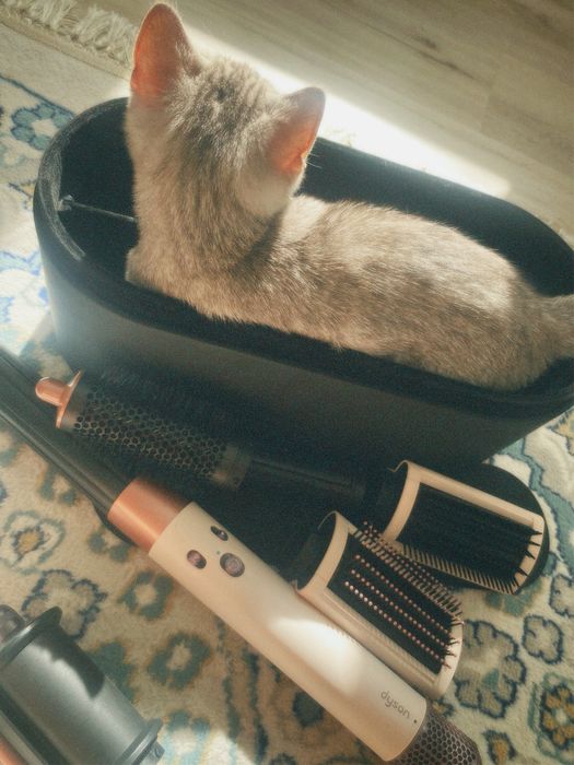 продам дайсон со всеми насадками ОРИГИНАЛ