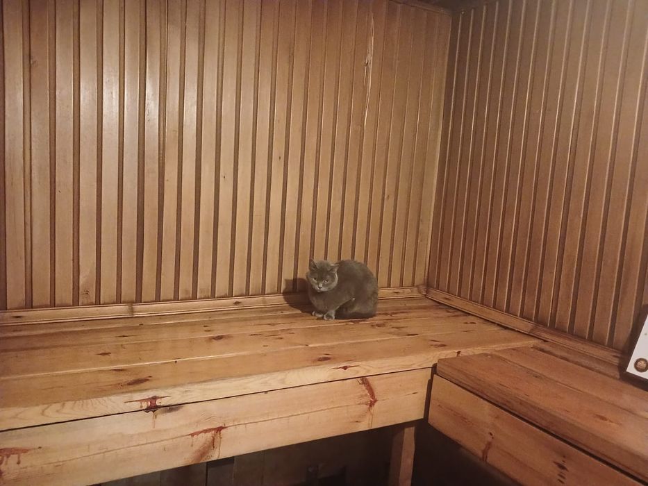 Продам жилой дом в центре