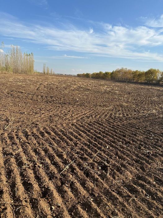 Огород, сад, бакша, пашня, поле