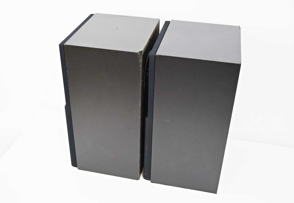 Boxe Technics SB-X 1