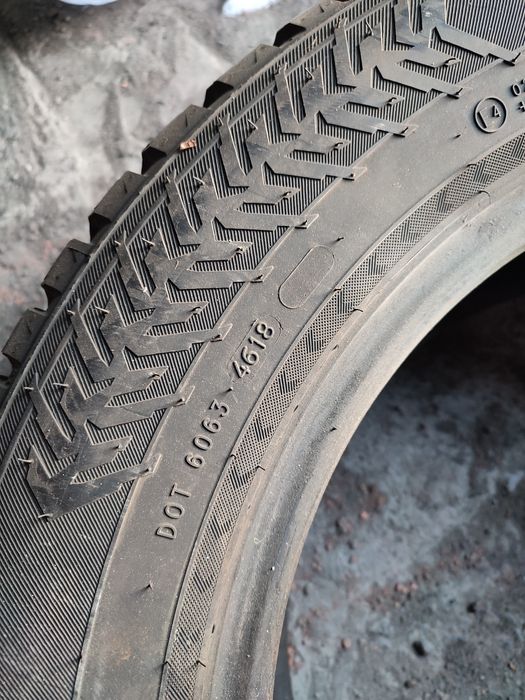 Нокиан, Данлоп зимняя