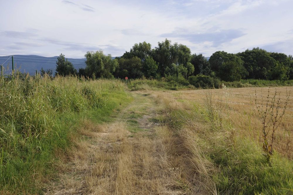 Продава се Земеделски имот в с. Брестник, Област Пловдив -  кв.м за 30600 €/дка - Снимка #5