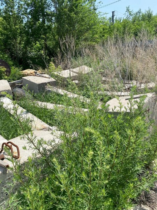 Ригель,ФБС,опорный столб