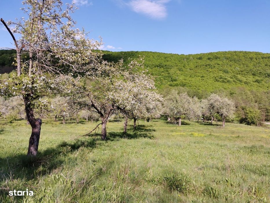 Teren de Vânzare, Budeasa Mica – Potrivit pentru Casă de Vacanță sau I