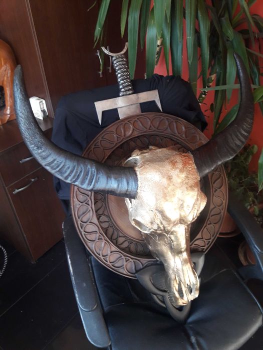 Антикварен уникат! Трофей за дома и офиса