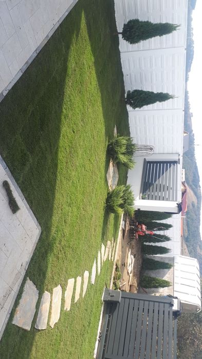 Gazon rulou amenajări gradini