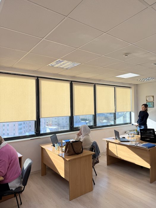 Ролл шторы, день и ночь, блэкаут, жалюзи