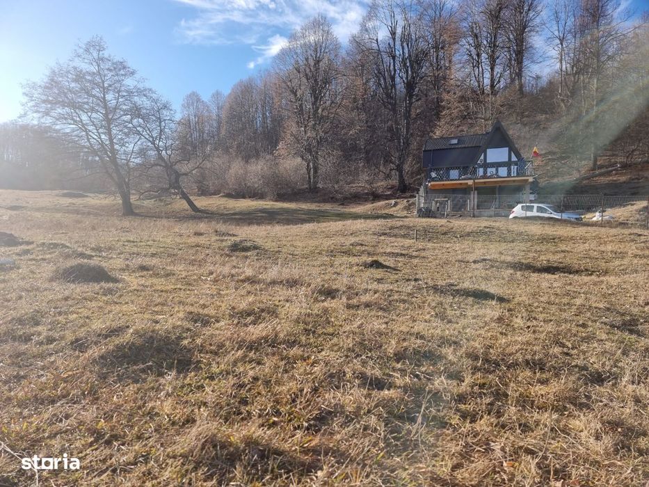 teren de vanzare in zona Poiana Campina