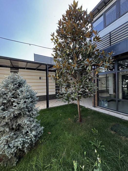 Продажа Дома / Мирзо-Улугбек / улица Олтинтепа - 3,2 сотки