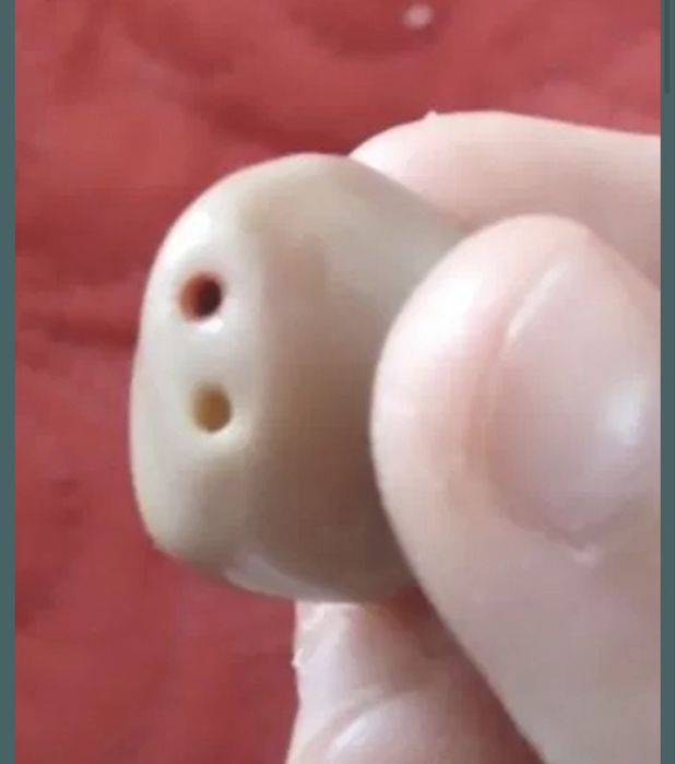 Aparat auditiv Signia