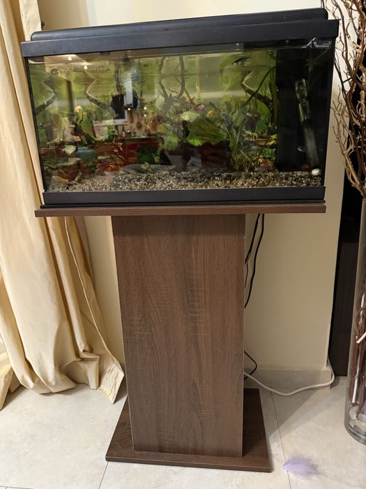 Vand Acvariu Aquatlantis!