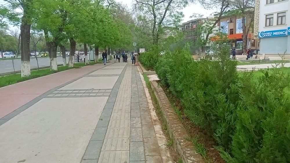 Арча кучатлар сотилади.