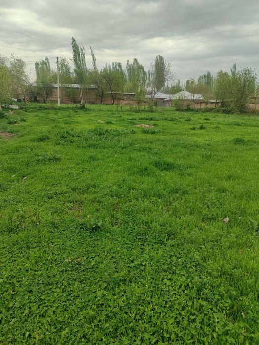 Uchaska yer sotiladi 10 sotix