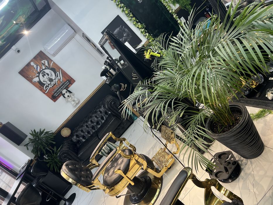 Salon Snoopy ultracental inchiriază posturi coafura/ frizerie