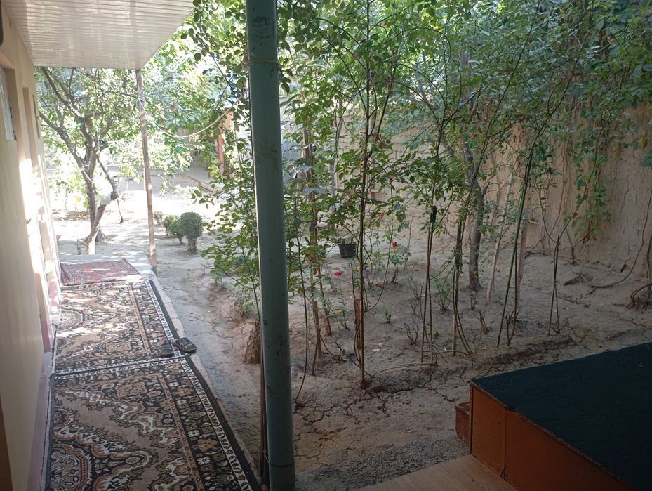 Селхоз томонда ховли бор ХОЗЯАЙКАЛИ БОЛЛАР учун