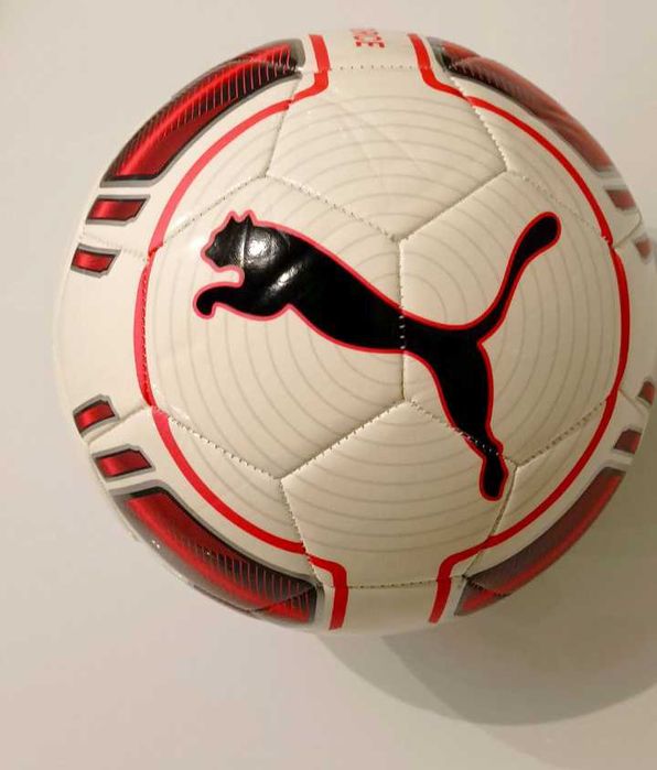 Футболна топка Puma Evo Force