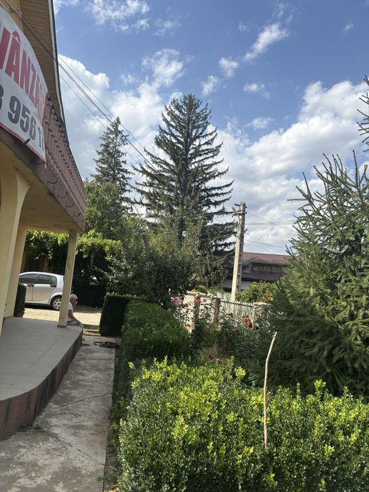 Casa de vanzare Topliceni