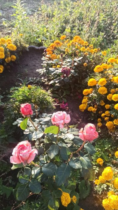 Дача на Фёдоровка