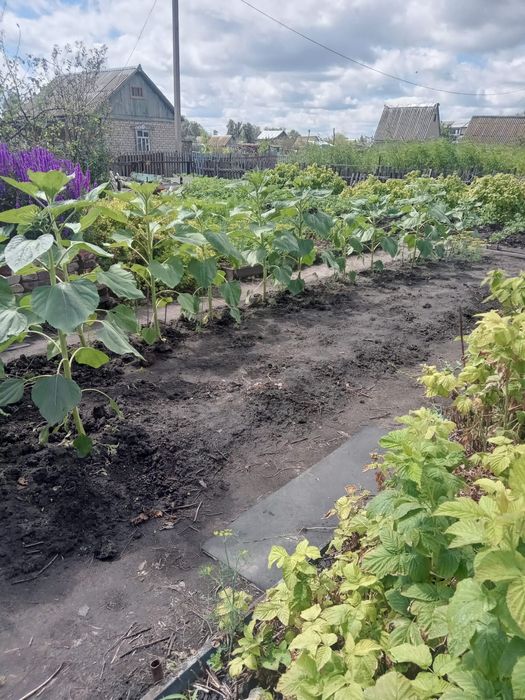 Продам дачу район Новопавловки