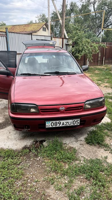 Продам живой нисан