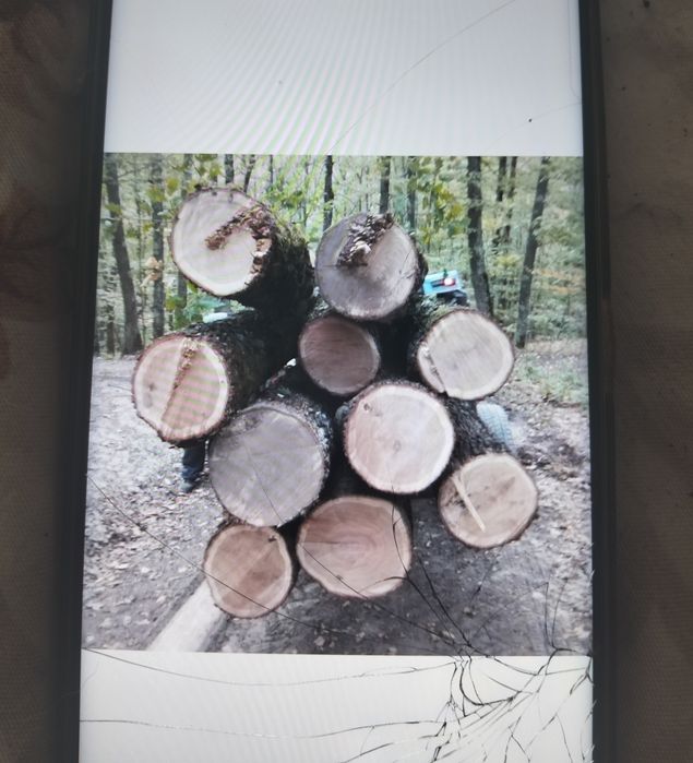 Lemn de stejar pentru lucru