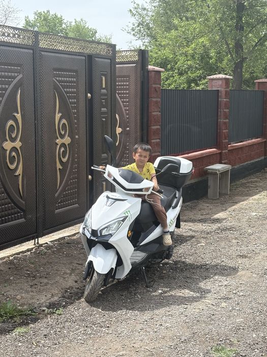 Мапед 150 кубовый состаяние хорошо  тяга зверь почти новый масло замен