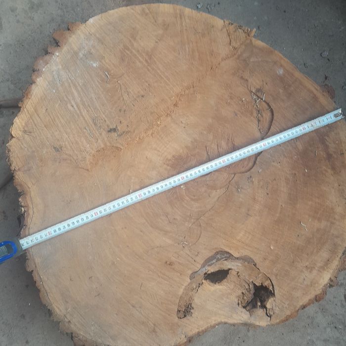 Продам спилы слебы из карагача