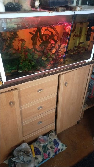 Аквариум 170 литров