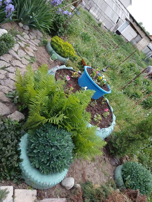 продам дом на 10 сотках