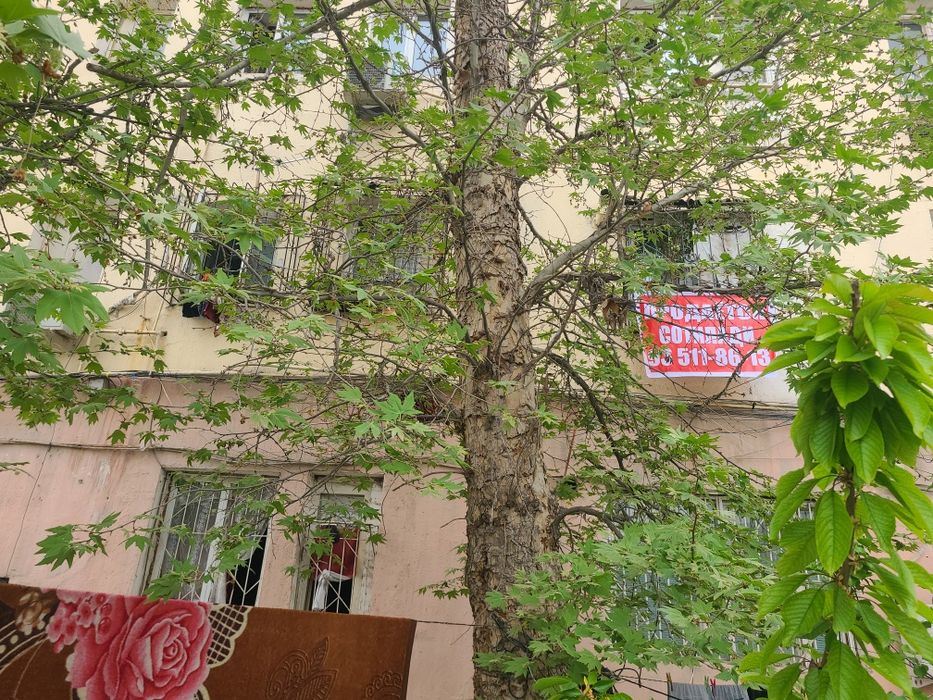 (М) Метро чилонзор узимми уйим