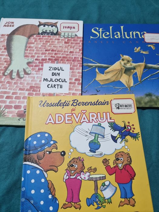 Cărți lectură copii
