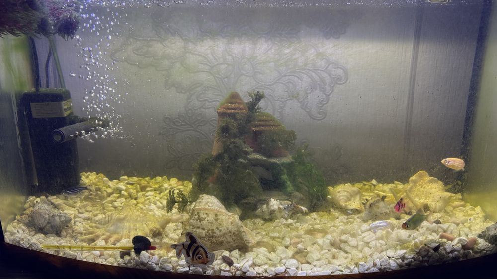 Продам аквариум