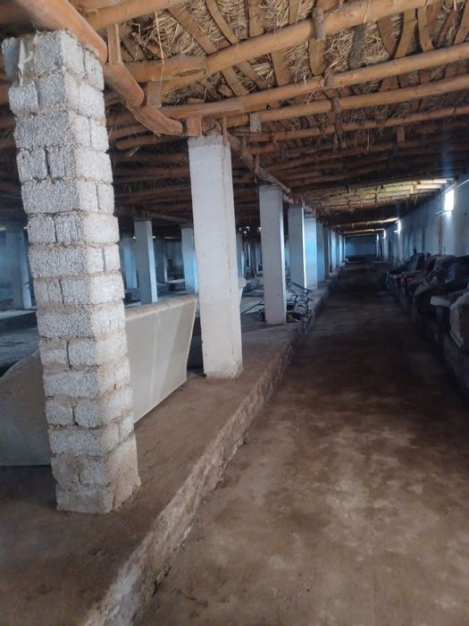 Тошкент Вилояти . Охонгоран  Тумани . Галакудук  ФЕРМА    2,7 Гектар .