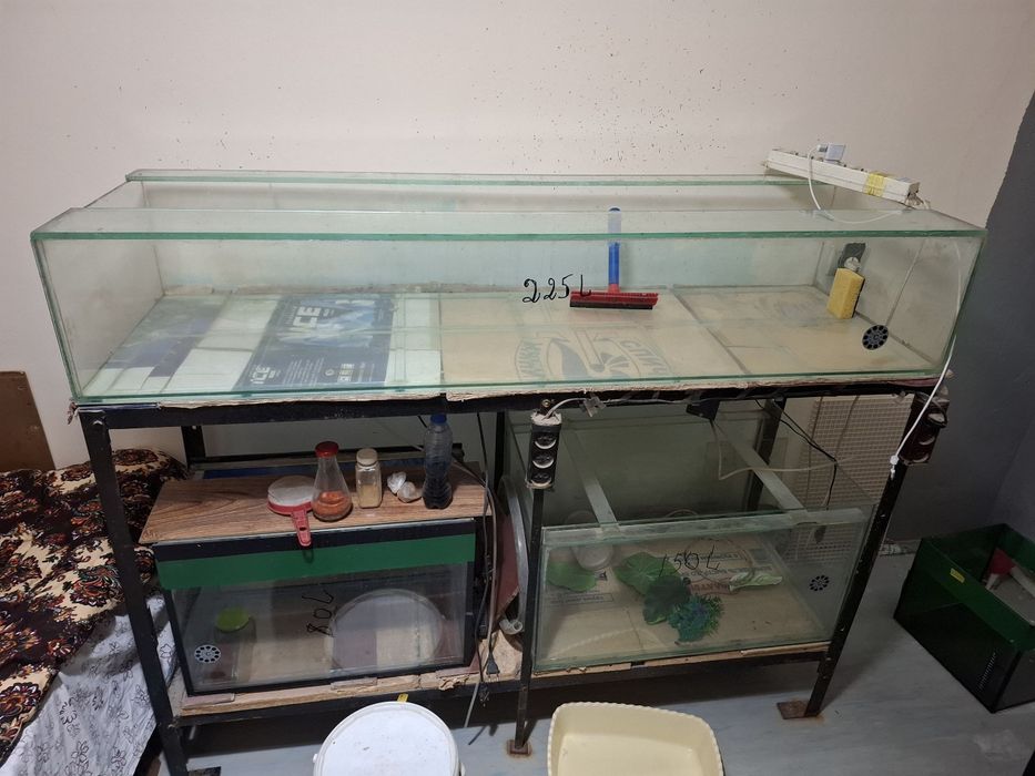 Аквариумлар Сотилади