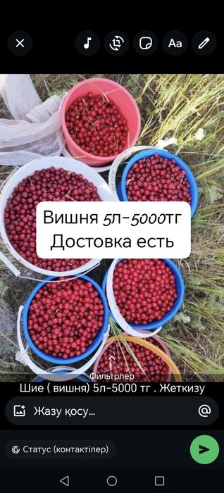 Шие сатамын жеткизип берем