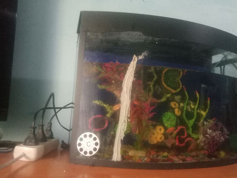 Продается аквариум причина продат время нету ухаживат