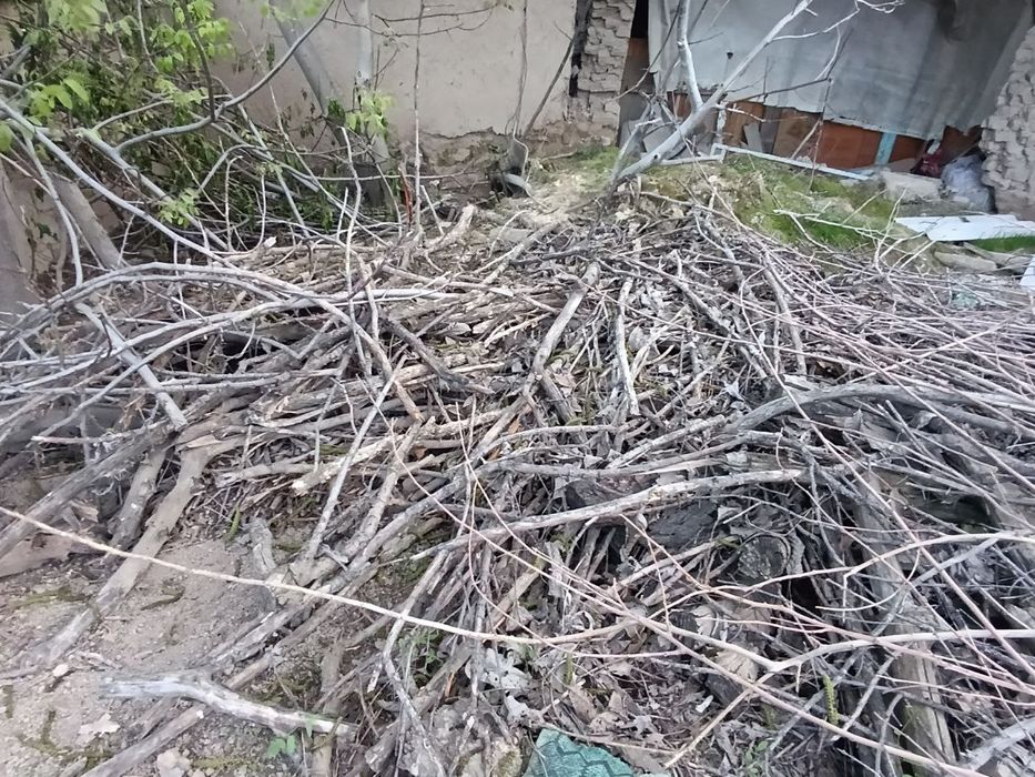 Quruq O'tin sotiladi