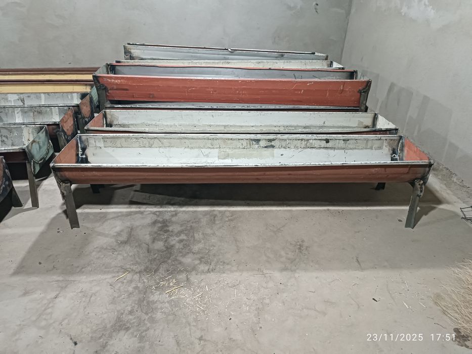 Oxirlar qoʻy mol uchun