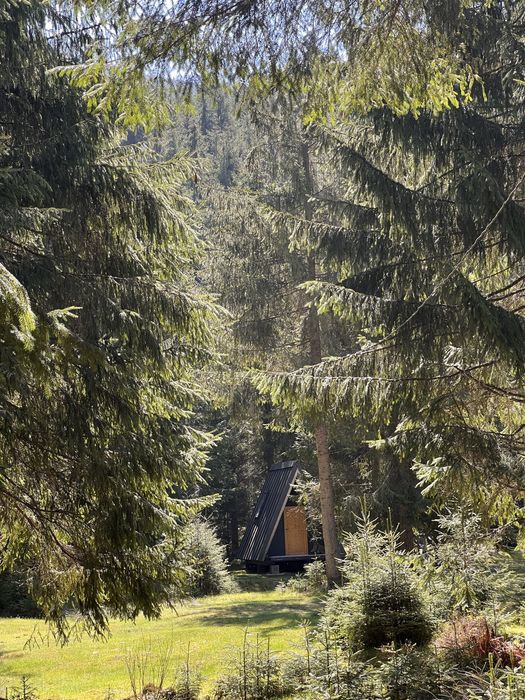Teren de vânzare cu căsuță A-frame in Valea Ierii