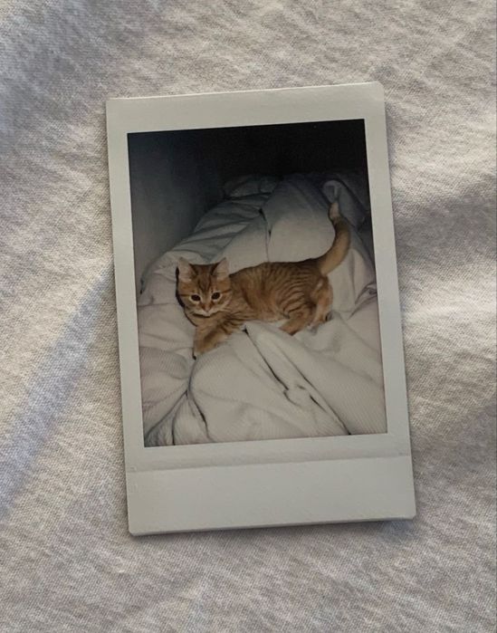 Аренда камеры instax mini SE