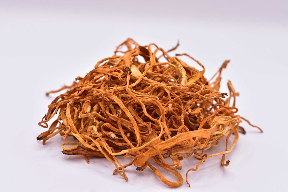 продам красный кордицепс