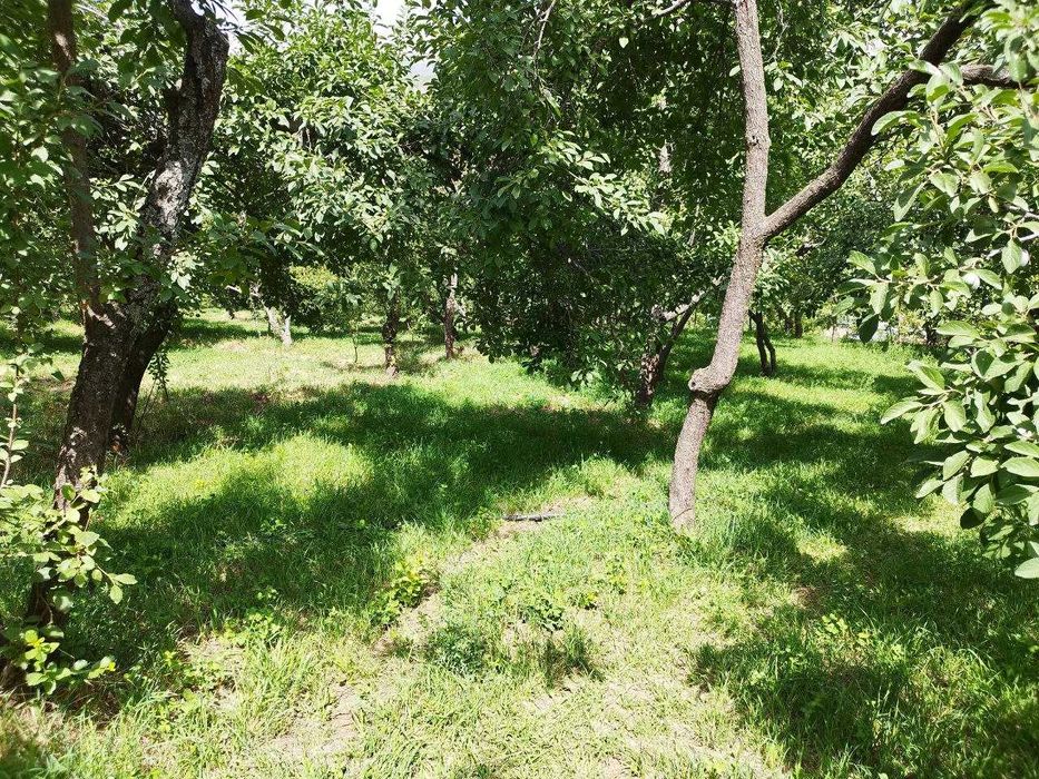 Евро дача в горах {Нанай} 40 сот