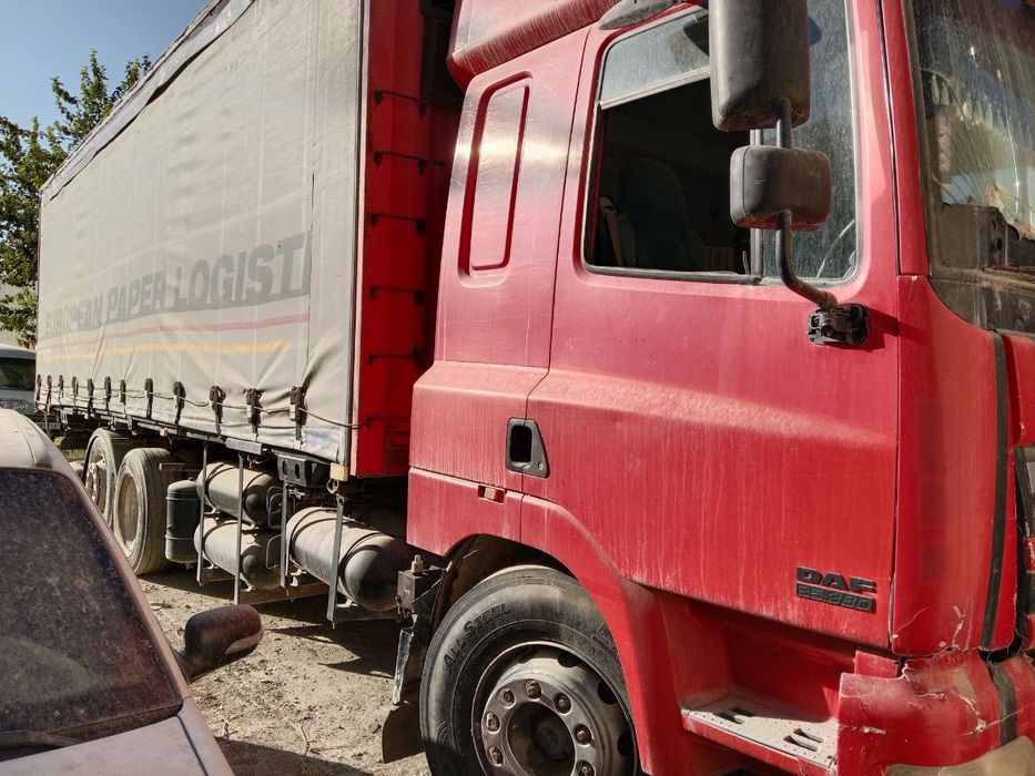 Даф сотилади. Холати яхши