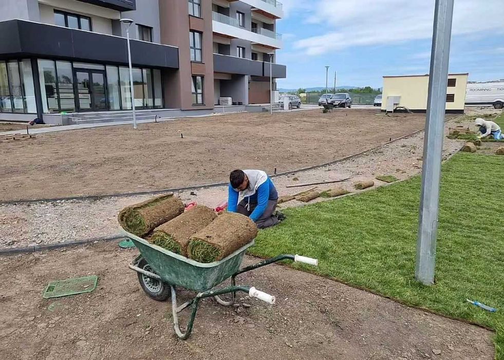 Montaj gazon rulou natural | Amenajări curți și grădini