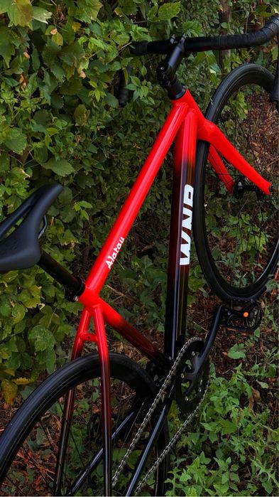 Wnr alatau fixed gear