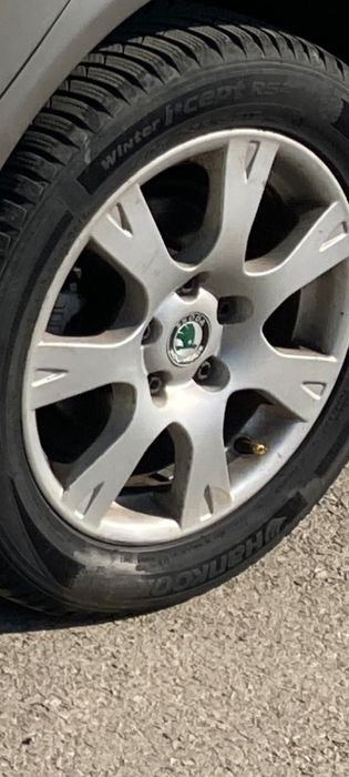 Genti originale Octavia